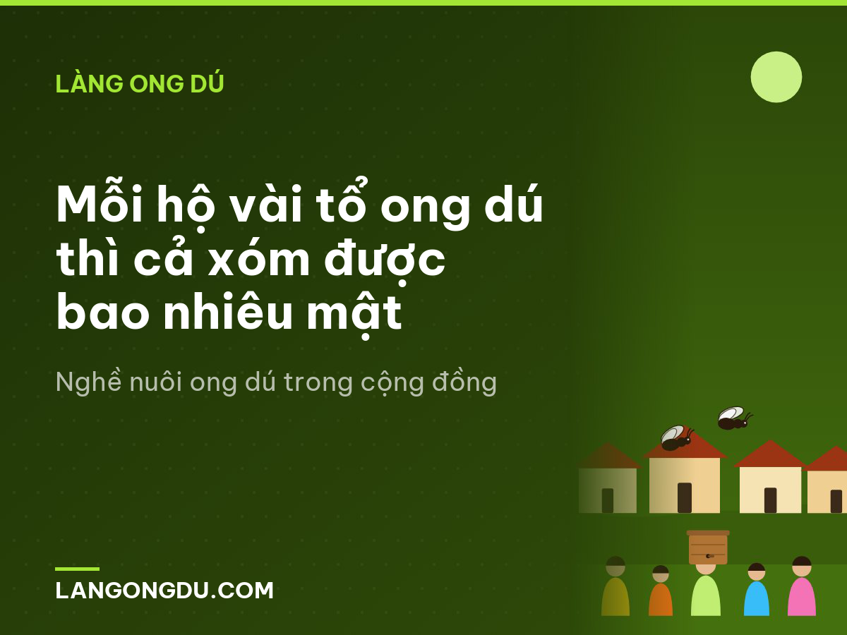 Mỗi hộ vài tổ ong dú thì cả xóm được bao nhiêu mật