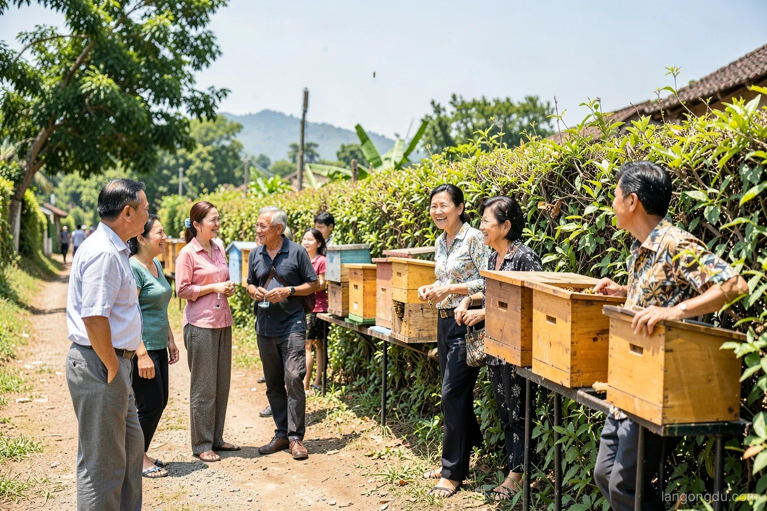 Nhìn lại nhiều mùa nuôi ong dú cả xóm: điều đổi khác
